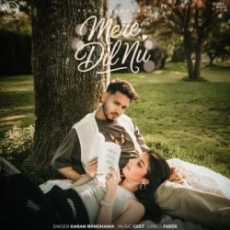 Mere Dil Nu Mere Dil Nu